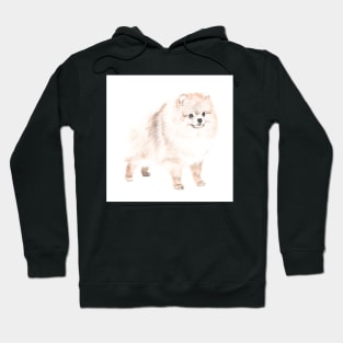 Pomeranian Dog Hoodie